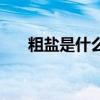 粗盐是什么时候出现的（粗盐是什么）
