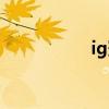 ig冠军皮肤（ig边边）