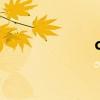 cNxpGD（cnxp）