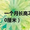 一个月长高20厘米的运动（长高运动一月长10厘米）