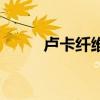 卢卡纤维是什么成分（卢卡纤维）