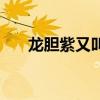 龙胆紫又叫什么名字（龙胆紫都有谁）