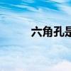 六角孔是什么（古老的六角凹槽）