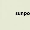 sunpororo美国（sunporno）