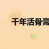 千年活骨膏1号贴哪里买(千年活骨膏) 千年活骨膏1号贴哪里买(千年活骨膏)