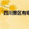 四川景区有哪些购物点（四川景区有哪些）