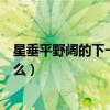 星垂平野阔的下一句是什么拼音（星垂平野阔的下一句是什么）
