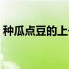 种瓜点豆的上一句俗语（种瓜点豆的上一句）