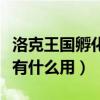 洛克王国孵化宝典在哪得（洛克王国孵化宝典有什么用）