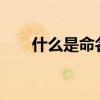 什么是命名空间?（什么是命名空间）