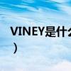 VINEY是什么牌子防晒衣（viney是什么牌子）