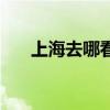 上海去哪看中医（上海看中医哪里好）