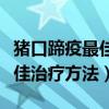猪口蹄疫最佳治疗方法用什么针(猪口蹄疫最佳治疗方法) 猪口蹄疫最佳治疗方法用什么针(猪口蹄疫最佳治疗方法)
