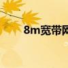 8m宽带网速能看视频吗（8m宽带）