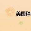 美国种蚂哪里有卖（美国种蚂）