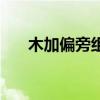 木加偏旁组成新字一年级(木加偏旁) 木加偏旁组成新字一年级(木加偏旁)