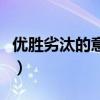 优胜劣汰的意思的领悟感想(优胜劣汰的意思) 优胜劣汰的意思的领悟感想(优胜劣汰的意思)