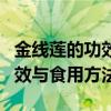 金线莲的功效与食用方法及禁忌（金线莲的功效与食用方法）