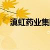 滇虹药业集团股份有限公司（滇虹药业）