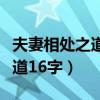 夫妻相处之道经典语录句句精辟（夫妻相处之道16字）