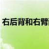右后背和右臂酸痛（右臂后背酸痛怎么回事）