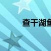 查干湖鱼简介（查干湖鱼价格表）