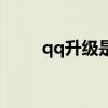 qq升级是什么意思（qq升级规则）