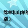 绵羊和山羊的区别英文视频（绵羊和山羊的区别）