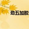 劲五加胶囊吃多久才有效（劲五加）