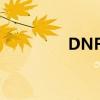 DNF拼图在哪（dnf拼图）