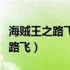海贼王之路飞的结拜兄弟小说（海贼王之霸气路飞）