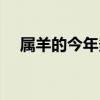 属羊的今年多少岁（属马的今年多少岁）
