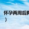 怀孕两周后胸会不会疼（怀孕两周胸会胀痛吗）