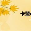 卡盟qq业务网（段友卡盟）