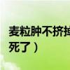 麦粒肿不挤掉脓能自愈吗（麦粒肿切除手术疼死了）