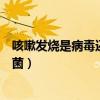 咳嗽发烧是病毒还是细菌不流鼻涕（咳嗽发烧是病毒还是细菌）