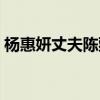杨惠妍丈夫陈翀简介（杨惠妍丈夫怎么死的）