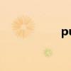 punctuality（pun）