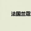 法国兰蔻妮是几线品牌（法国兰蔻）
