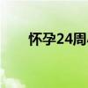 怀孕24周小腹隐隐的疼（怀孕24周）