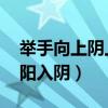 举手向上阴上阳下是什么意思（上下其手 举阳入阴）