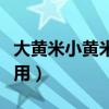大黄米小黄米的功效与作用（黄米的功效与作用）