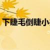 下睫毛倒睫小办法视频（下睫毛倒睫小办法）