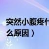 突然小腹疼什么原因引起的（突然小腹痛是什么原因）