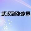 武汉到张家界怎么去最方便（武汉到张家界）