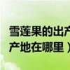雪莲果的出产地在哪里?有什么营养?（雪莲果产地在哪里）