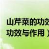 山芹菜的功效与作用及食用方法野（山芹菜的功效与作用）