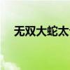 无双大蛇太公望联动（无双大蛇太公望）
