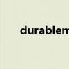 durablematerial的中文（durable）