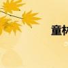 童林的原型人物（童林）